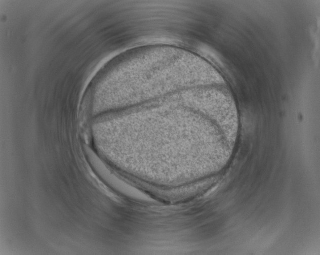 X0000078301236200612011826