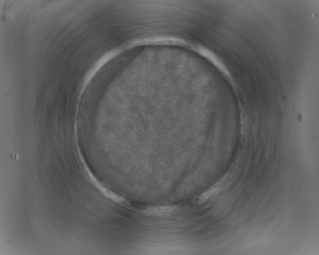 X0000078301237200612011826