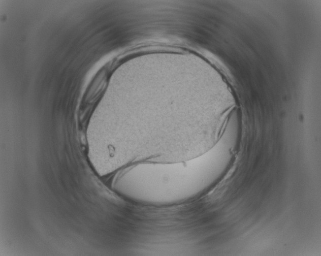 X0000078301238200612011826