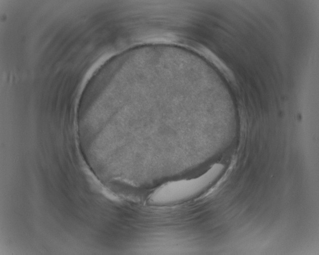 X0000078301240200612011826