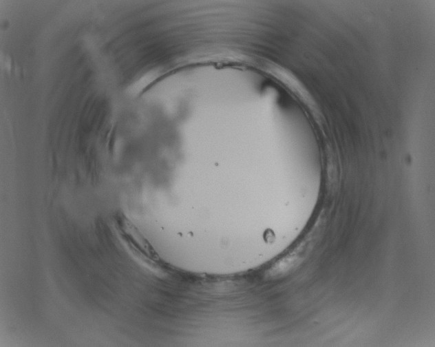 X0000078301242200612011827