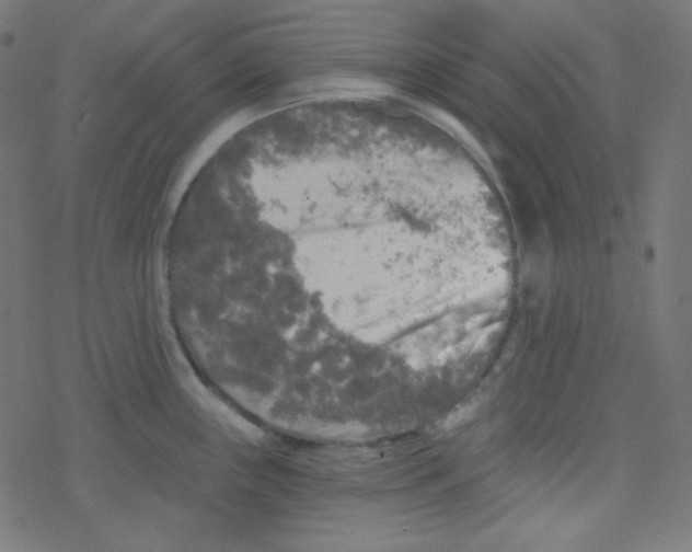 X0000078301243200612011827