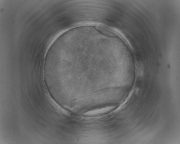 X0000078301244200612011827