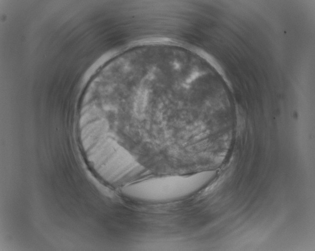 X0000078301245200612011827