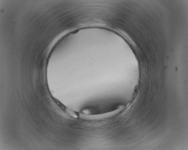 X0000078301246200612011827