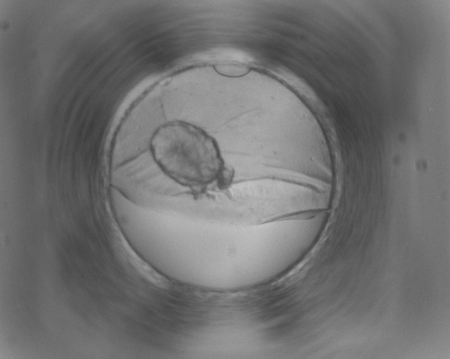 X0000078301248200612011827