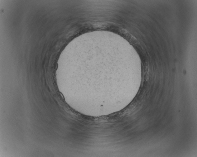 X0000078301249200612011826