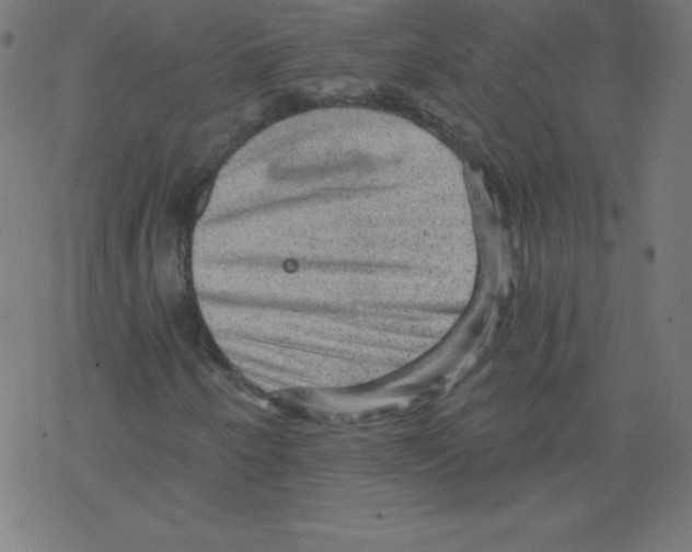 X0000078301250200612011826