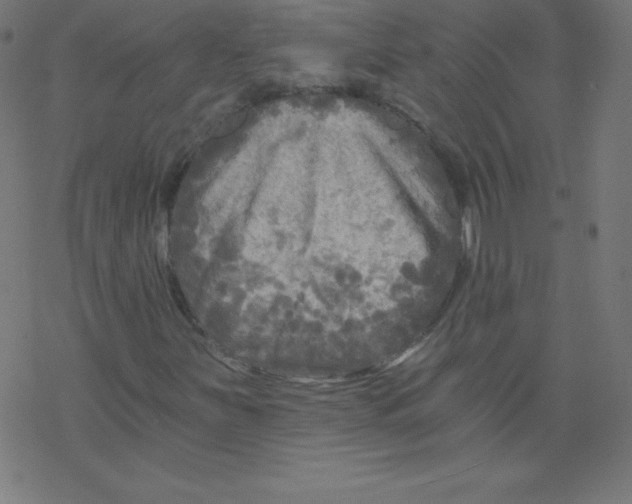 X0000078301251200612011826