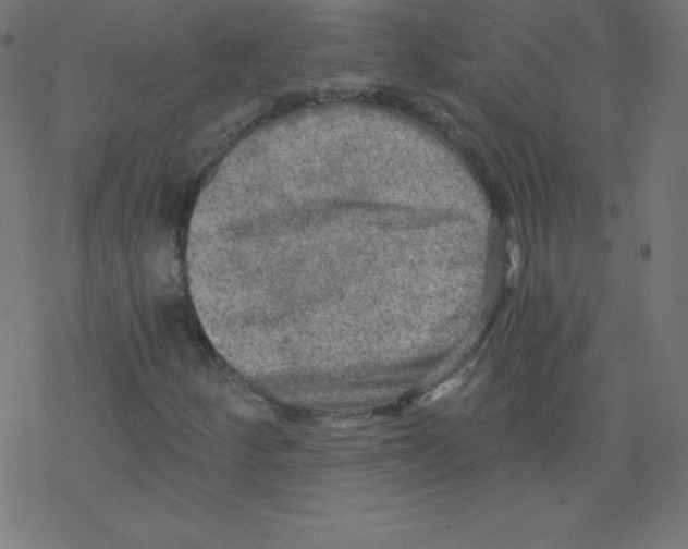 X0000078301252200612011826