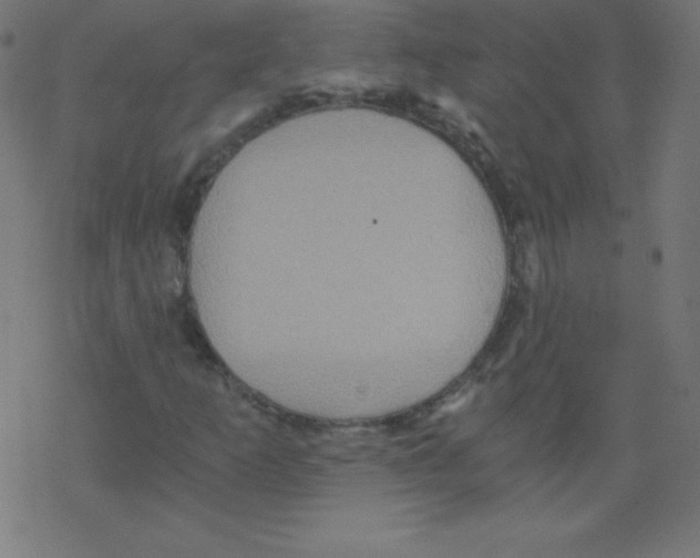 X0000078301253200612011826