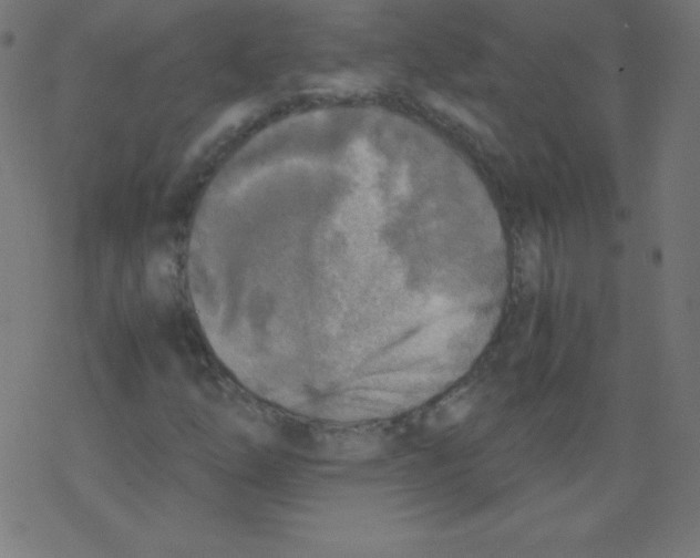 X0000078301254200612011826