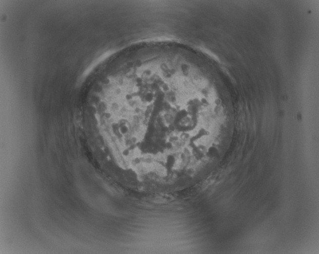 X0000078301255200612011826