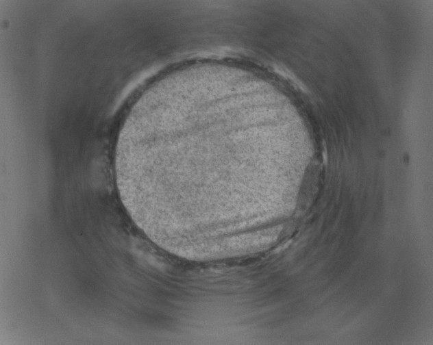 X0000078301256200612011826