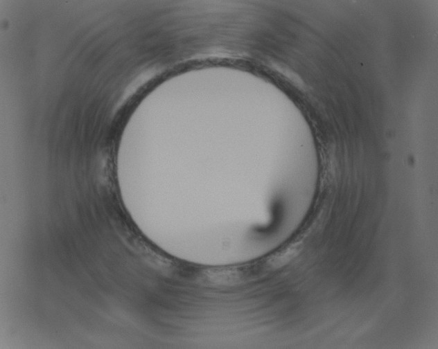 X0000078301258200612011826