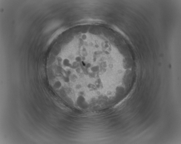 X0000078301259200612011826