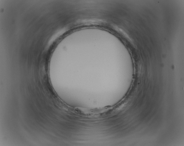 X0000078301261200612011826