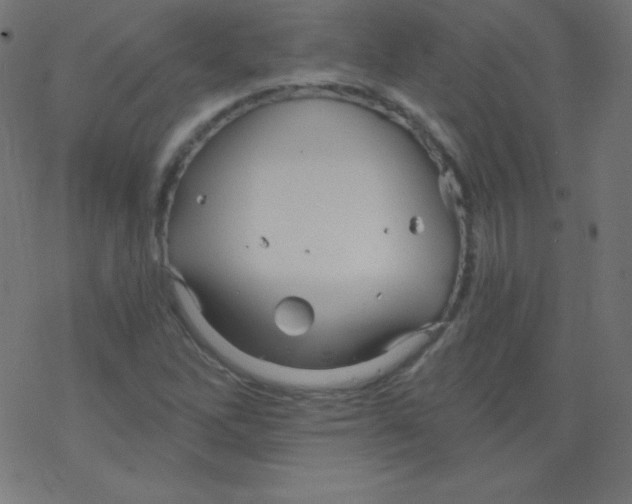 X0000078301262200612011826