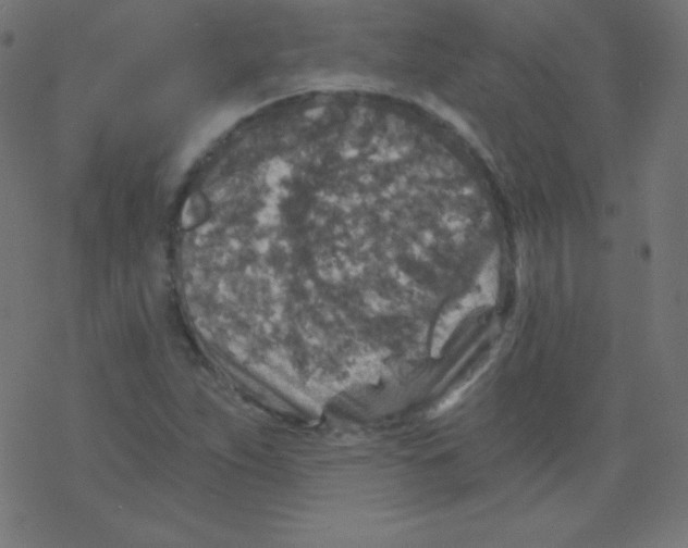 X0000078301263200612011826