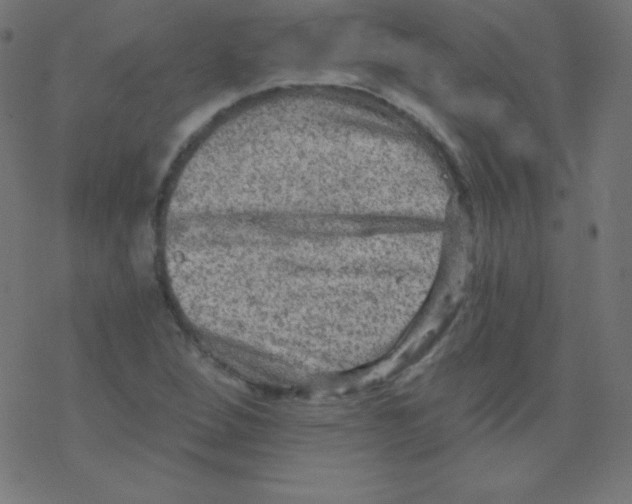 X0000078301264200612011826