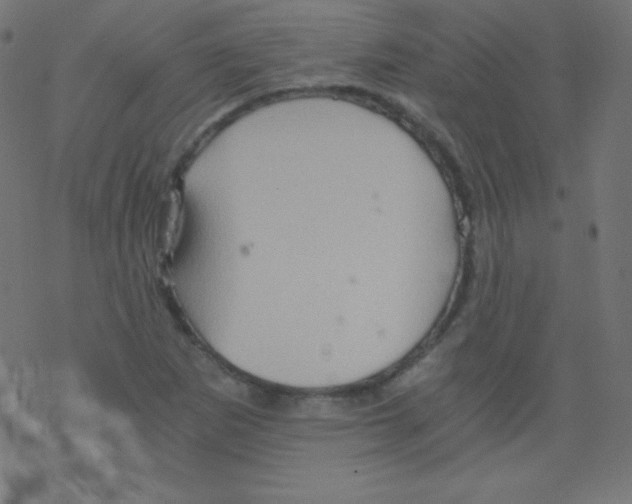 X0000078301265200612011826