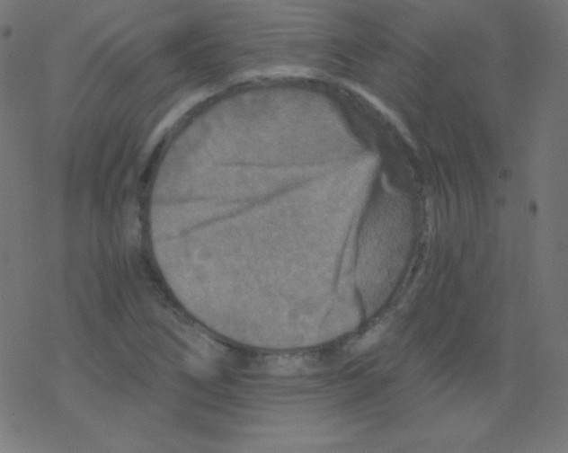 X0000078301266200612011826