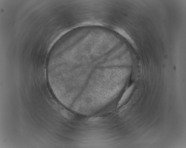 X0000078301268200612011826