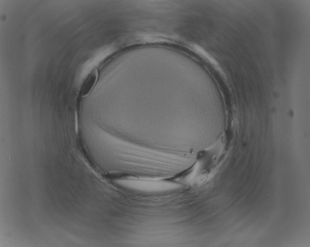 X0000078301269200612011826