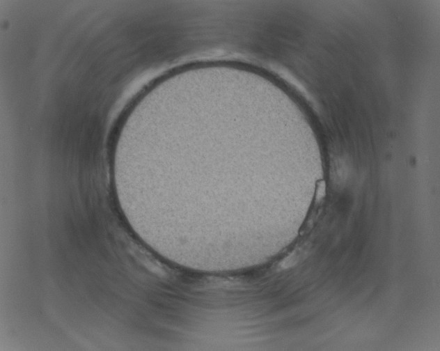 X0000078301270200612011825