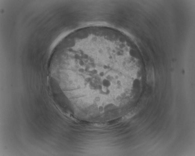 X0000078301271200612011825