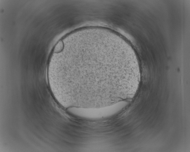 X0000078301272200612011825