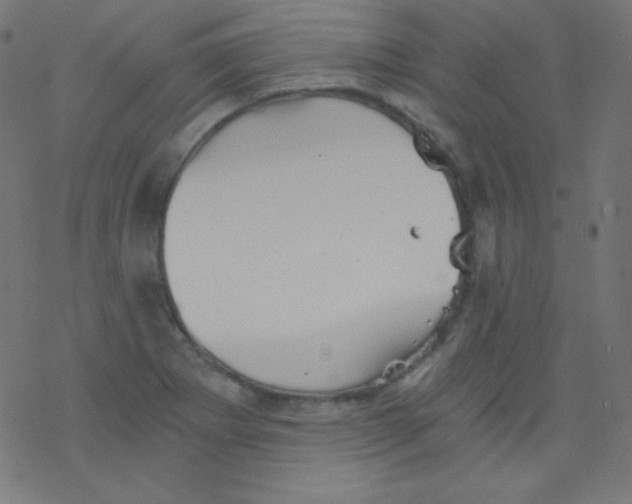 X0000078301273200612011825