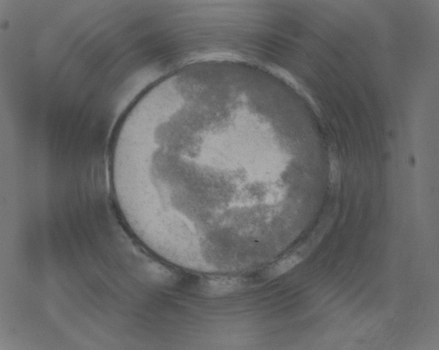 X0000078301274200612011825