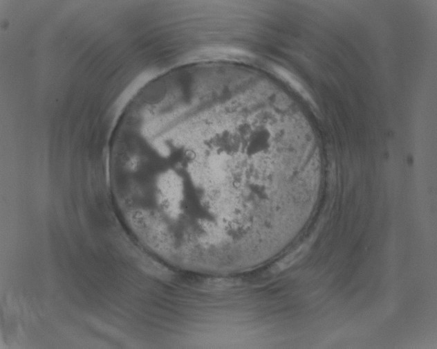 X0000078301275200612011825