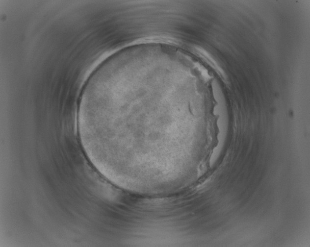 X0000078301276200612011825