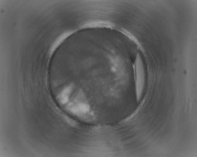 X0000078301277200612011825