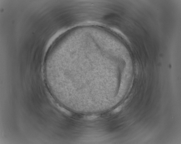 X0000078301278200612011825