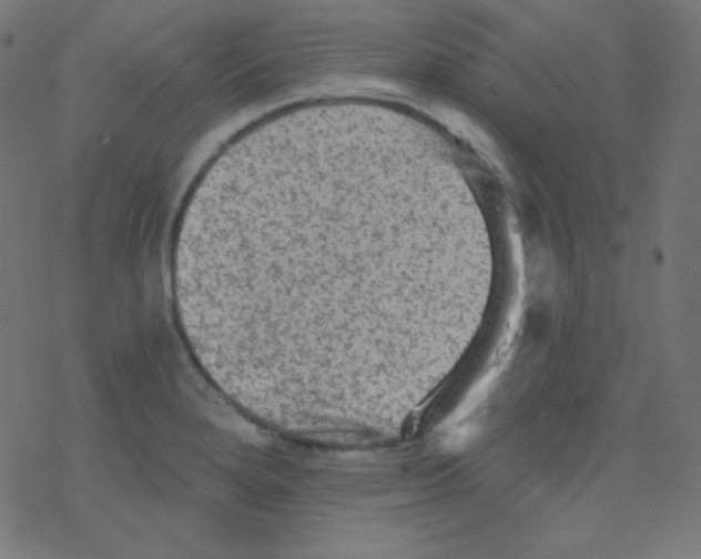 X0000078301280200612011825