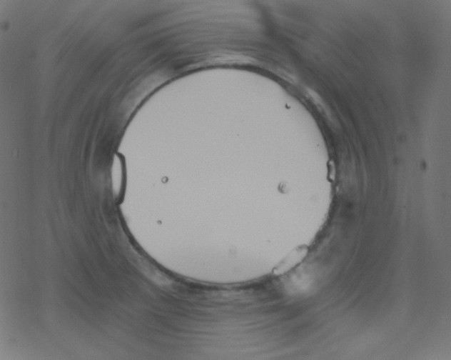 X0000078301281200612011825