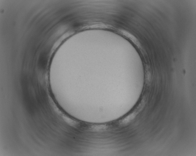 X0000078301282200612011825