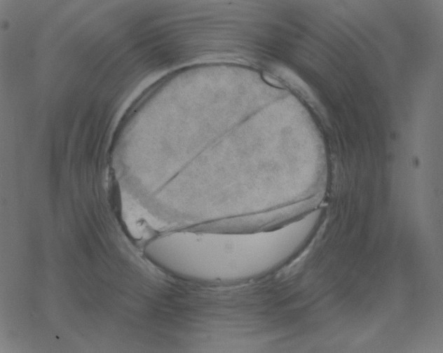 X0000078301284200612011825