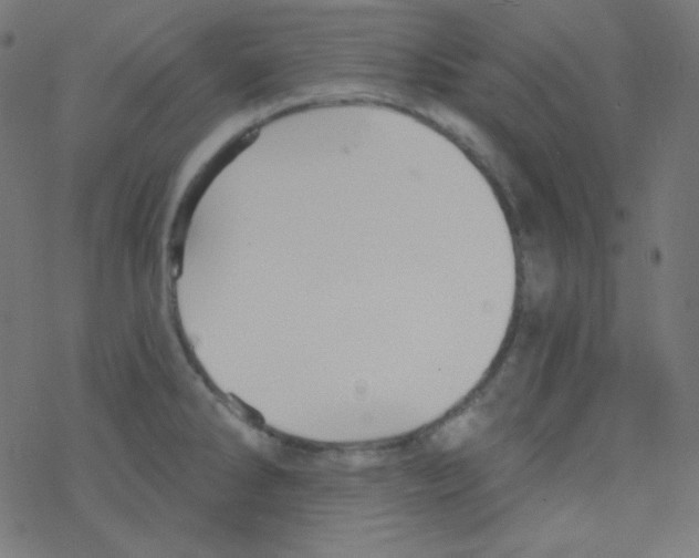 X0000078301286200612011825