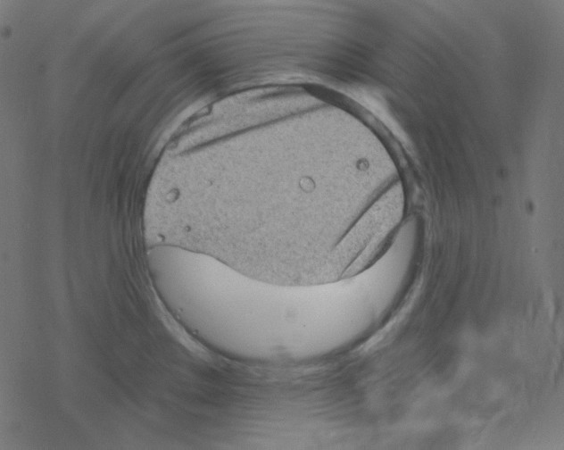 X0000078301289200612011825