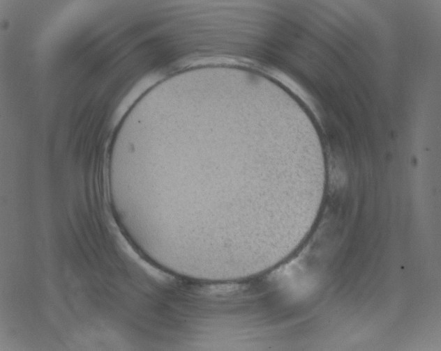 X0000078301290200612011825