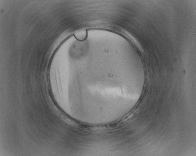 X0000078301291200612011825