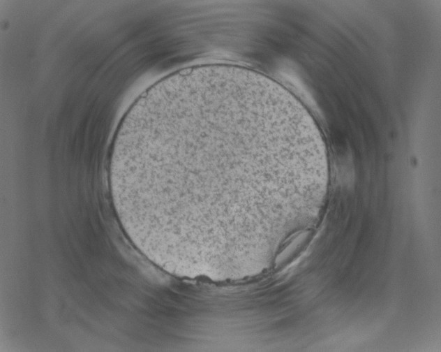 X0000078301292200612011825