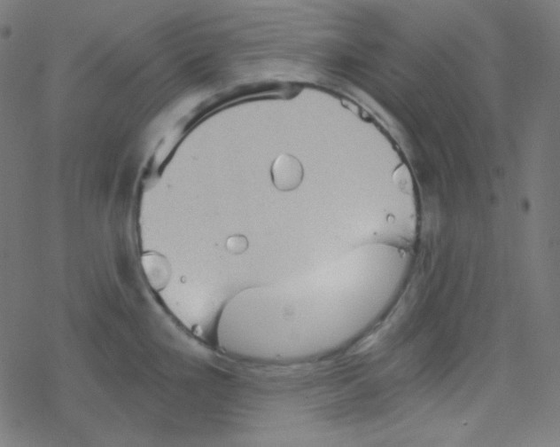 X0000078301293200612011825