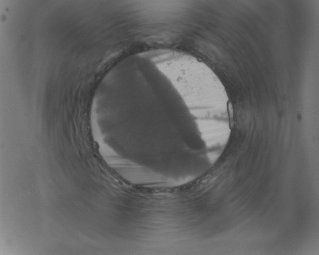 X0000078301297200612011824