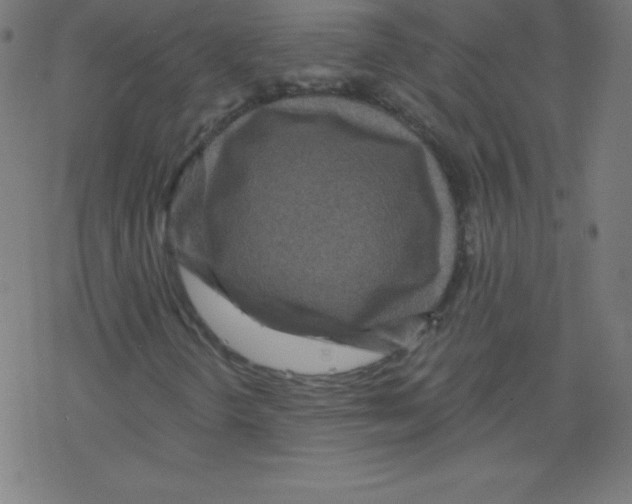 X0000078301298200612011824