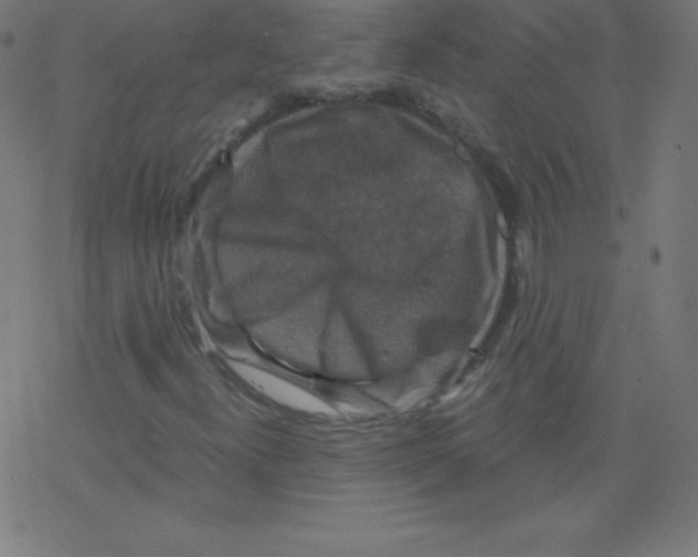 X0000078301300200612011824